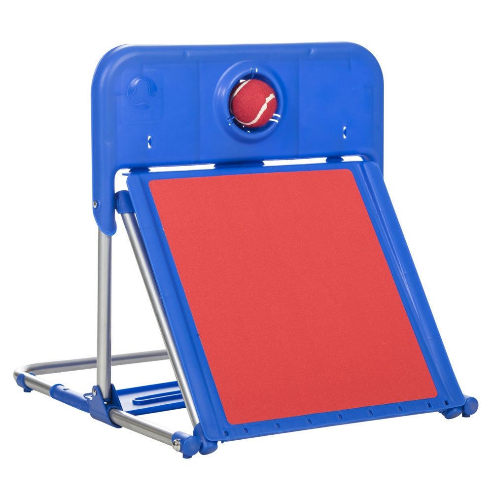 Agility flyball hot sale