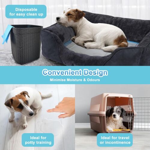 Petority Pet Training Disposable Dog Pee Pads,60x60cm, 6-Layer Leak-Proof and Ultra Absorbent Dog Pee Pads,Fast Drying Pee Mats for Puppies Dogs Cats Rabbits Pets,50-200PCS