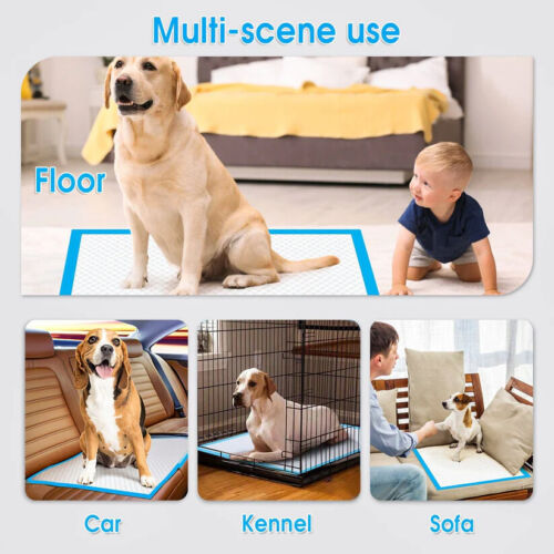 Petority Pet Training Disposable Dog Pee Pads,60x60cm, 6-Layer Leak-Proof and Ultra Absorbent Dog Pee Pads,Fast Drying Pee Mats for Puppies Dogs Cats Rabbits Pets,50-200PCS