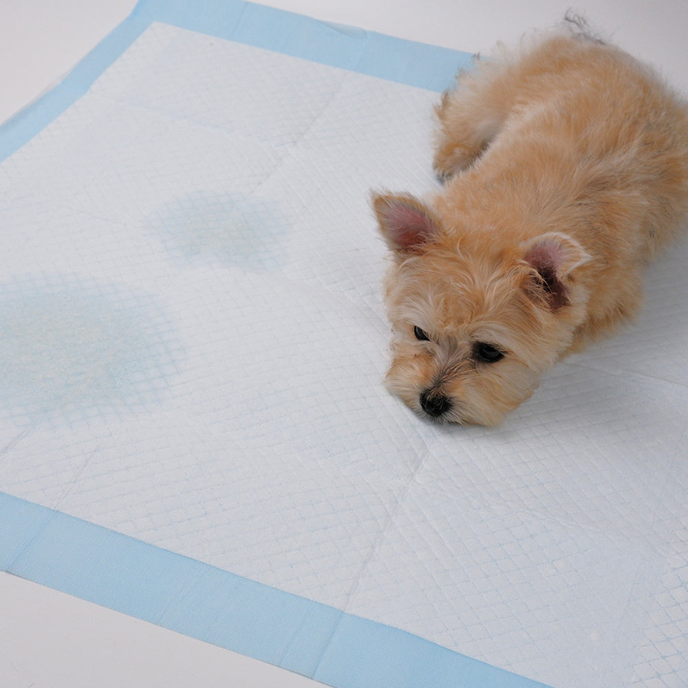Petority Pet Training Disposable Dog Pee Pads,60x60cm, 6-Layer Leak-Proof and Ultra Absorbent Dog Pee Pads,Fast Drying Pee Mats for Puppies Dogs Cats Rabbits Pets,50-200PCS