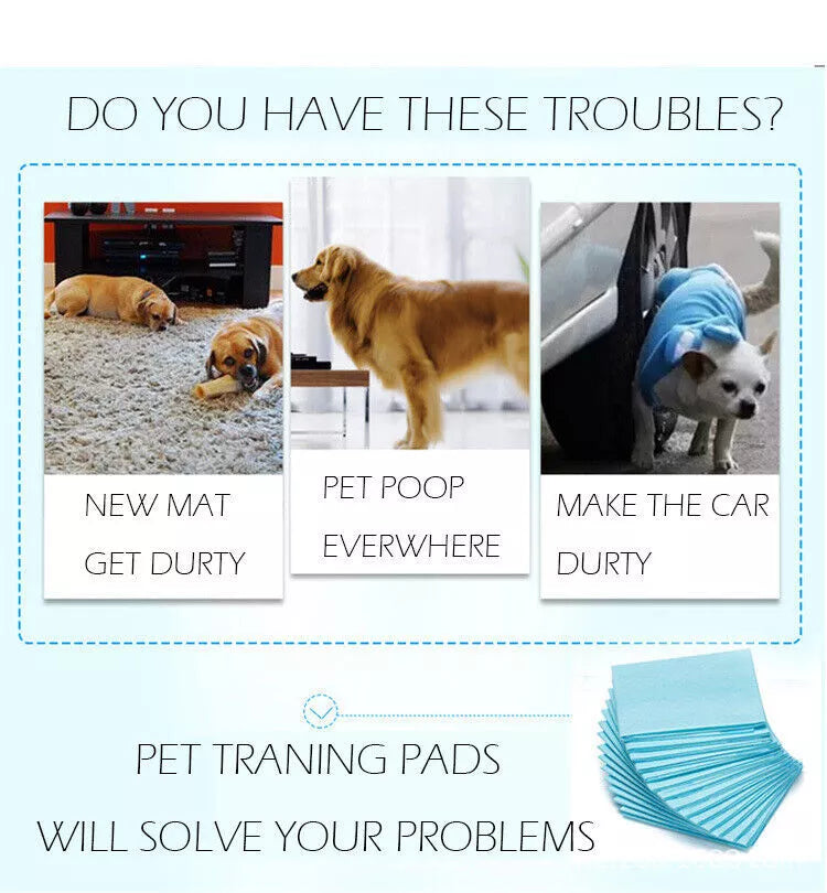 Petority Pet Training Disposable Dog Pee Pads,60x60cm, 6-Layer Leak-Proof and Ultra Absorbent Dog Pee Pads,Fast Drying Pee Mats for Puppies Dogs Cats Rabbits Pets,50-200PCS