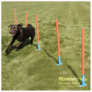 Rosewood Dog Agility Training toys - Slalom