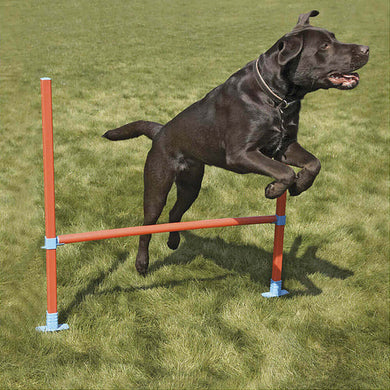 Rosewood Dog Agility Training toys - Hurdle