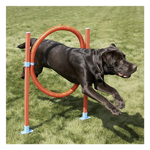 Rosewood Dog Agility Training toys - Hood jump