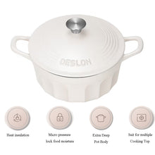 DESLON white Enamel Cast Iron Casserole Cooking Stew Pot 4.2 L 24CM x 18.3CM